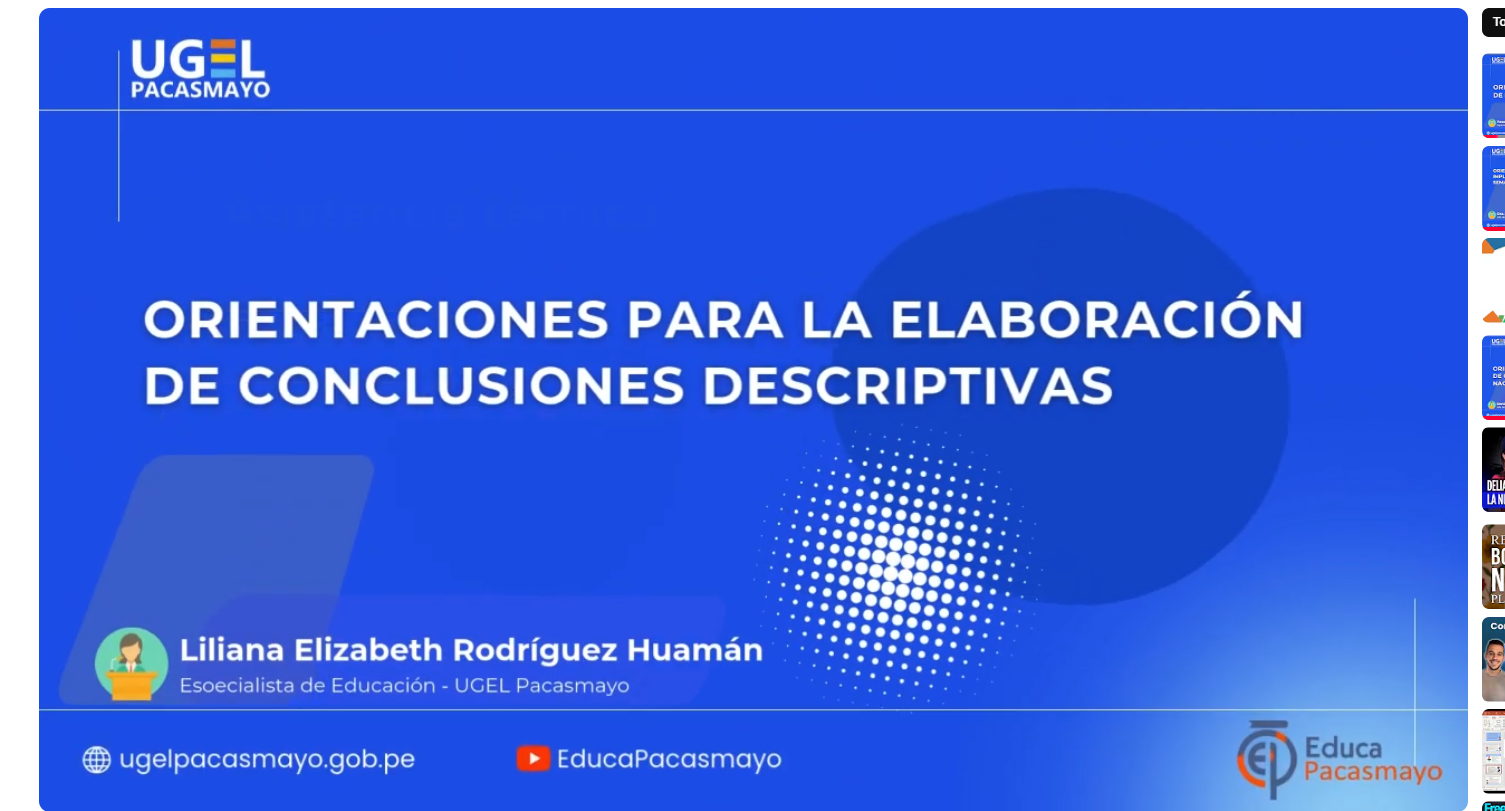 ORIENTACIONES PARA LA ELABORACIÓN DE CONCLUSIONES DESCRIPTIVAS