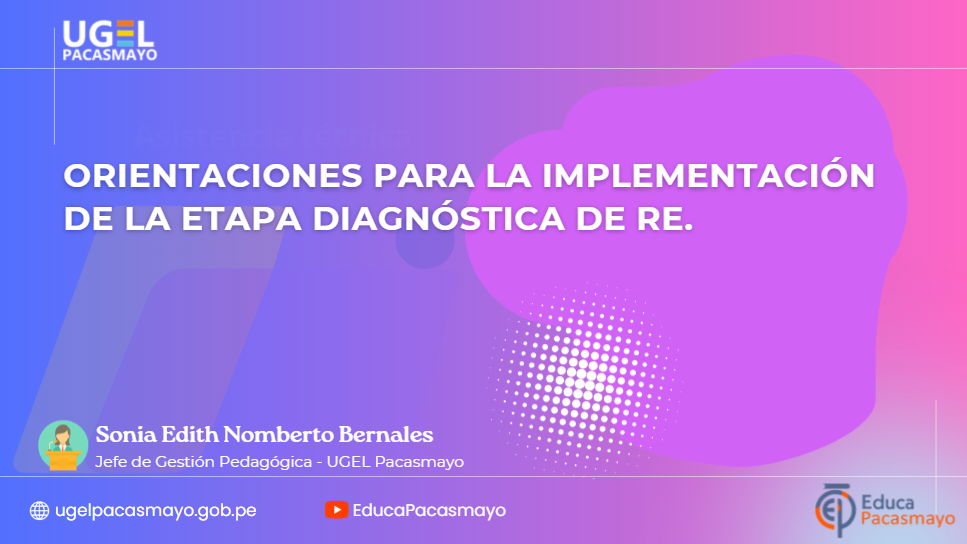 ORIENTACIONES PARA LA IMPLEMENTACIÓN DE LA ETAPA DIAGNÓSTICA DE RE