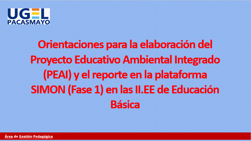 Orientaciones para la elaboración del PEAI - Fase 1