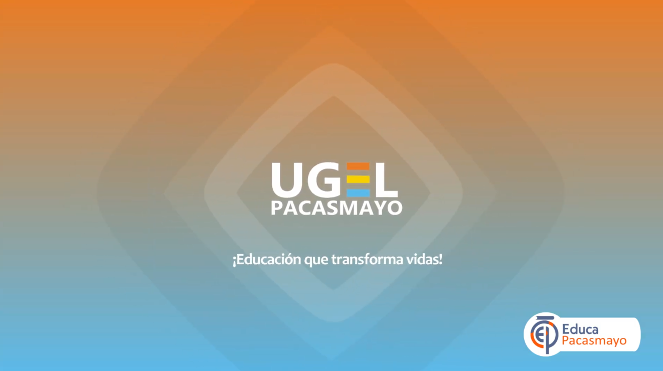 Dialogo reflexivo - Especialista y Directora