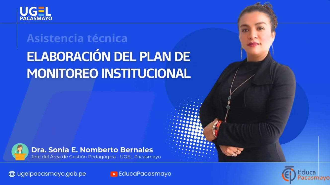 Elaboración del plan de Monitoreo Institucional