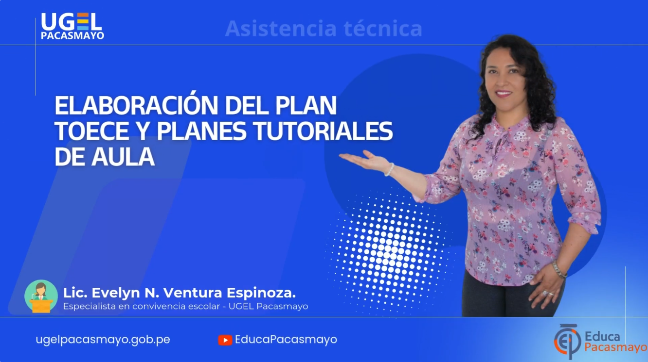 Elaboración del plan TOECE y planes Tutoriales de aula