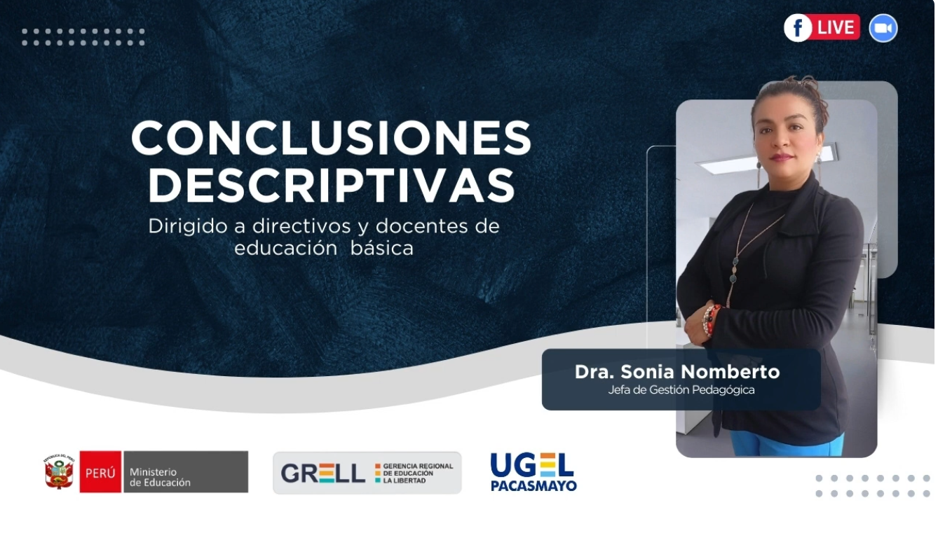 CONCLUSIONES DESCRIPTIVAS